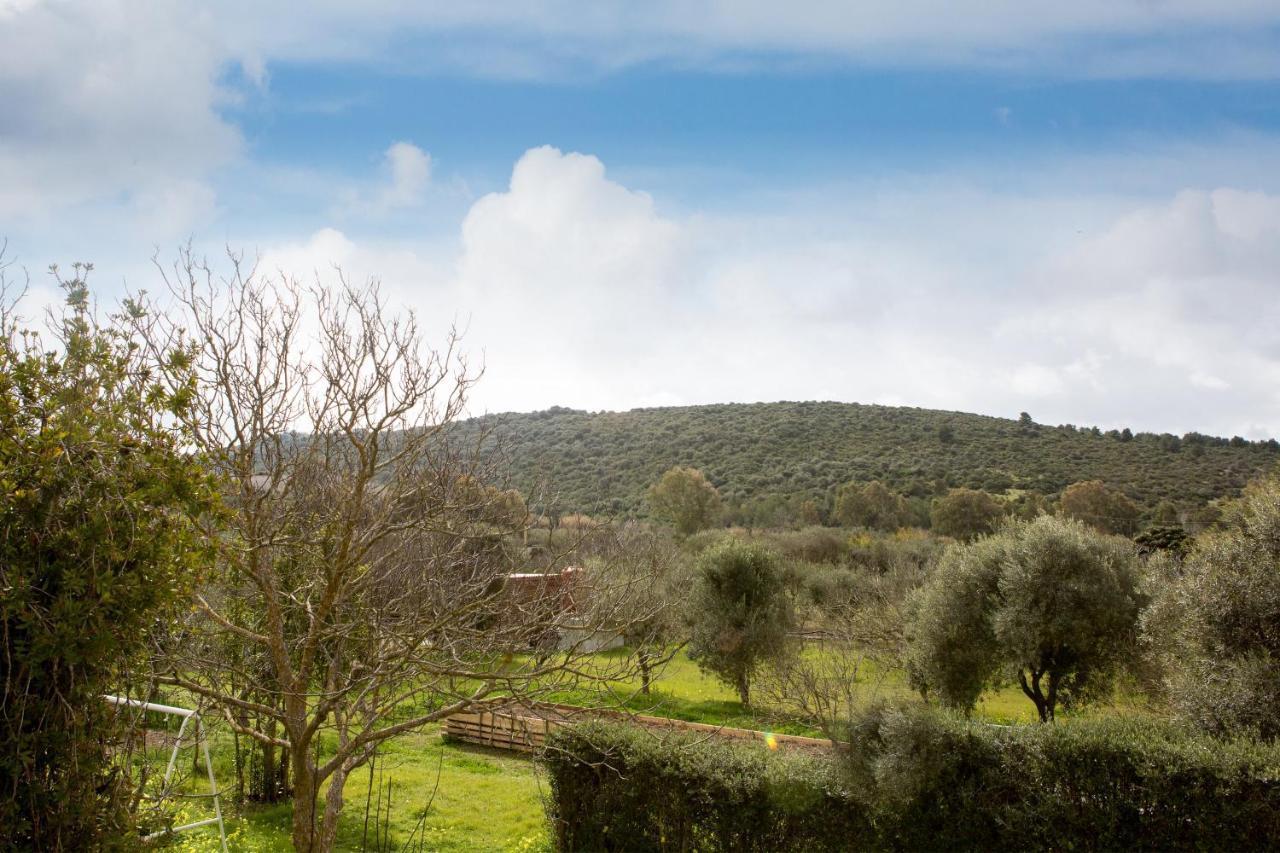 Alghero In Bicicletta Dış mekan fotoğraf