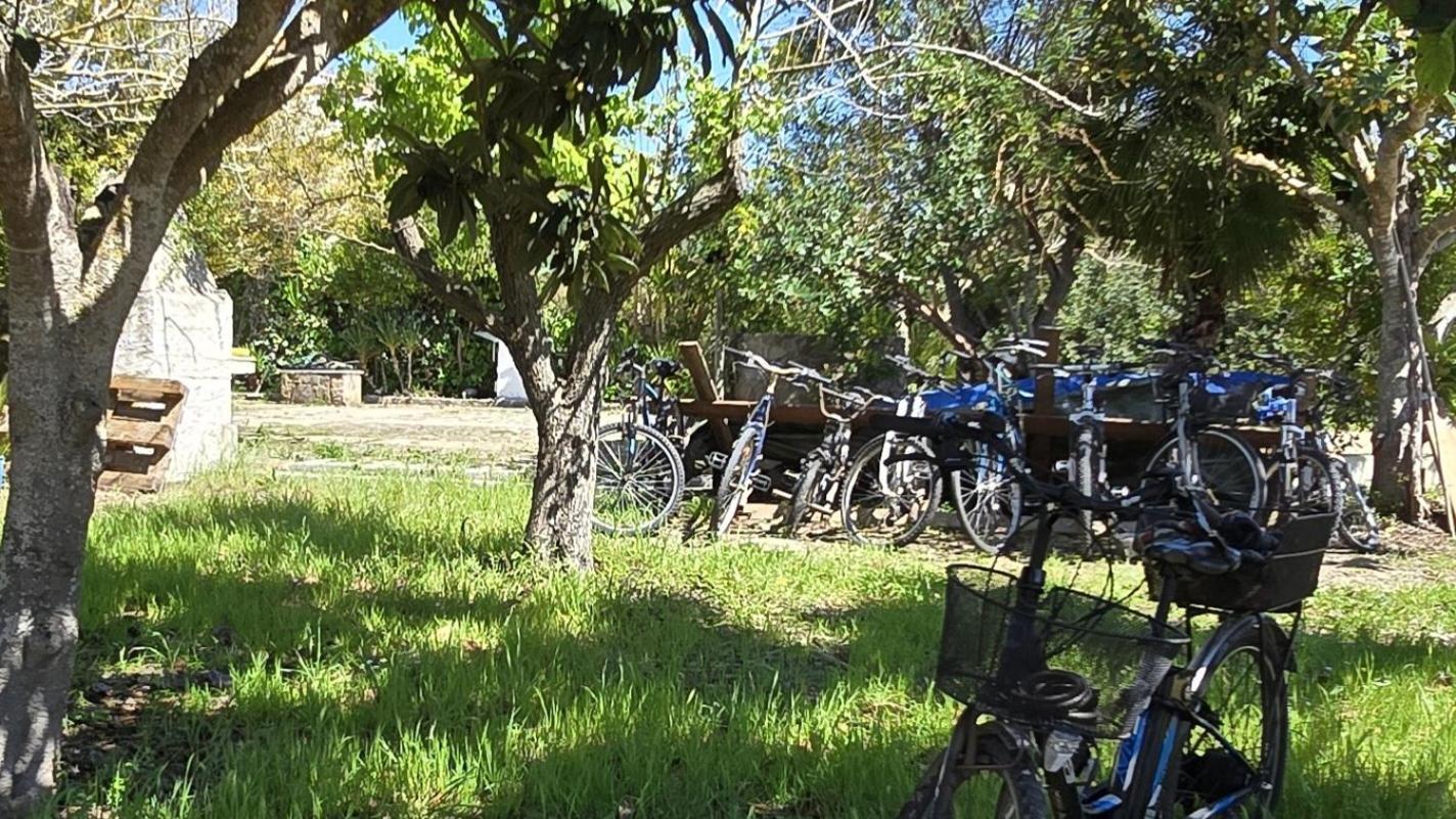 Alghero In Bicicletta Dış mekan fotoğraf